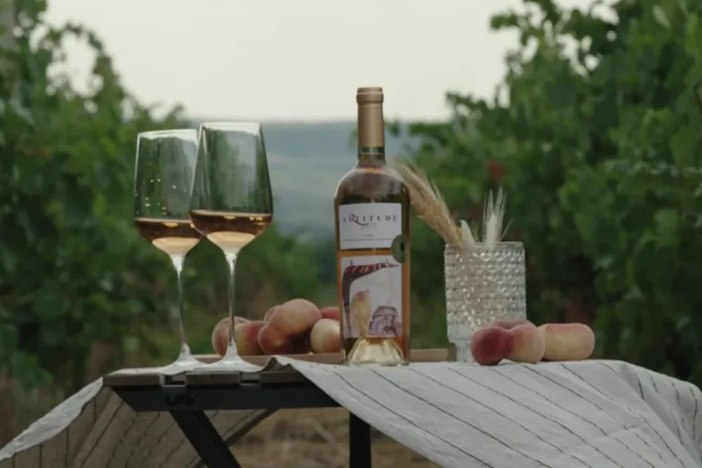 O sticlă de Artitude rosé și două pahare pe o masă așezată între rândurile de viță