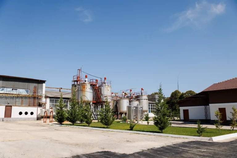 Curtea de producție a cramei, cu rezervoare de oțel, clădiri și un șir de brazi