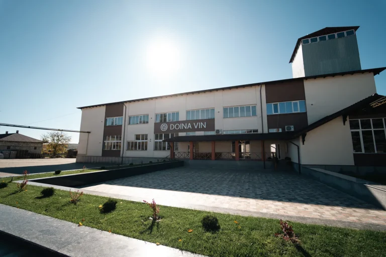 Curtea cramei din Răzeni și clădirea cu inscripția DOINA VIN, sub un cer senin