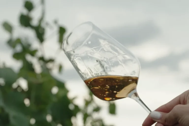 O mână ridică un pahar de vin alb printre frunzele de viță