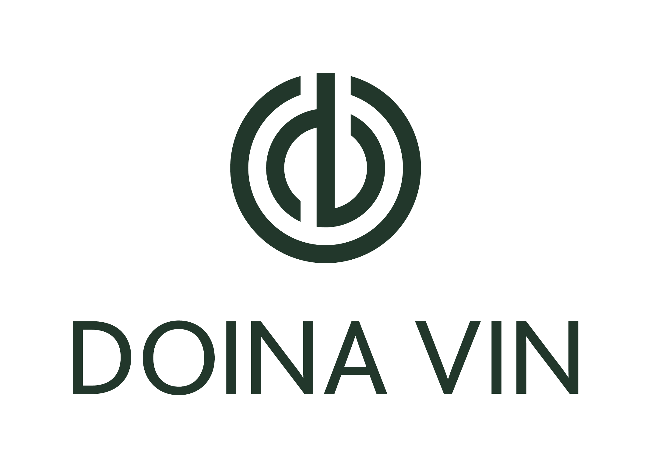 Doina Vin